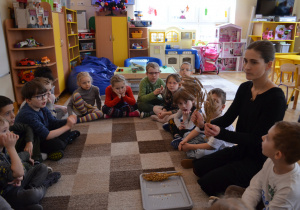 Dzieci z grupy IV słuchają informacji na temat różnorodnych zbóż.