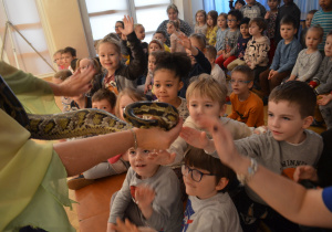 Dzieci z grupy IV głaskają węża.