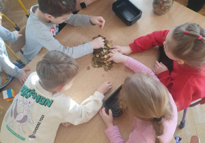 Dzieci z grupy IV segregują monety zgodnie z nominałem