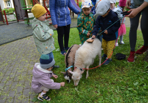 Dzieci z grupy I czeszą zwierzęta