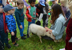 Dzieci z grupy II witają zwierzęta