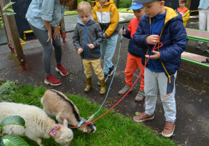 Dzieci z grupy III pasą zwierzęta na trawniku