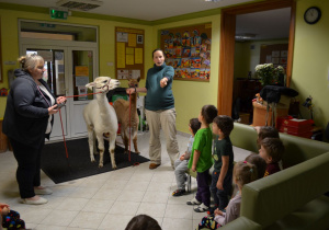 Dzieci z grupy II słuchają o Alpakach